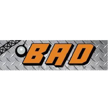 BAD Company Inc Building Abatement Demolition Company Inc